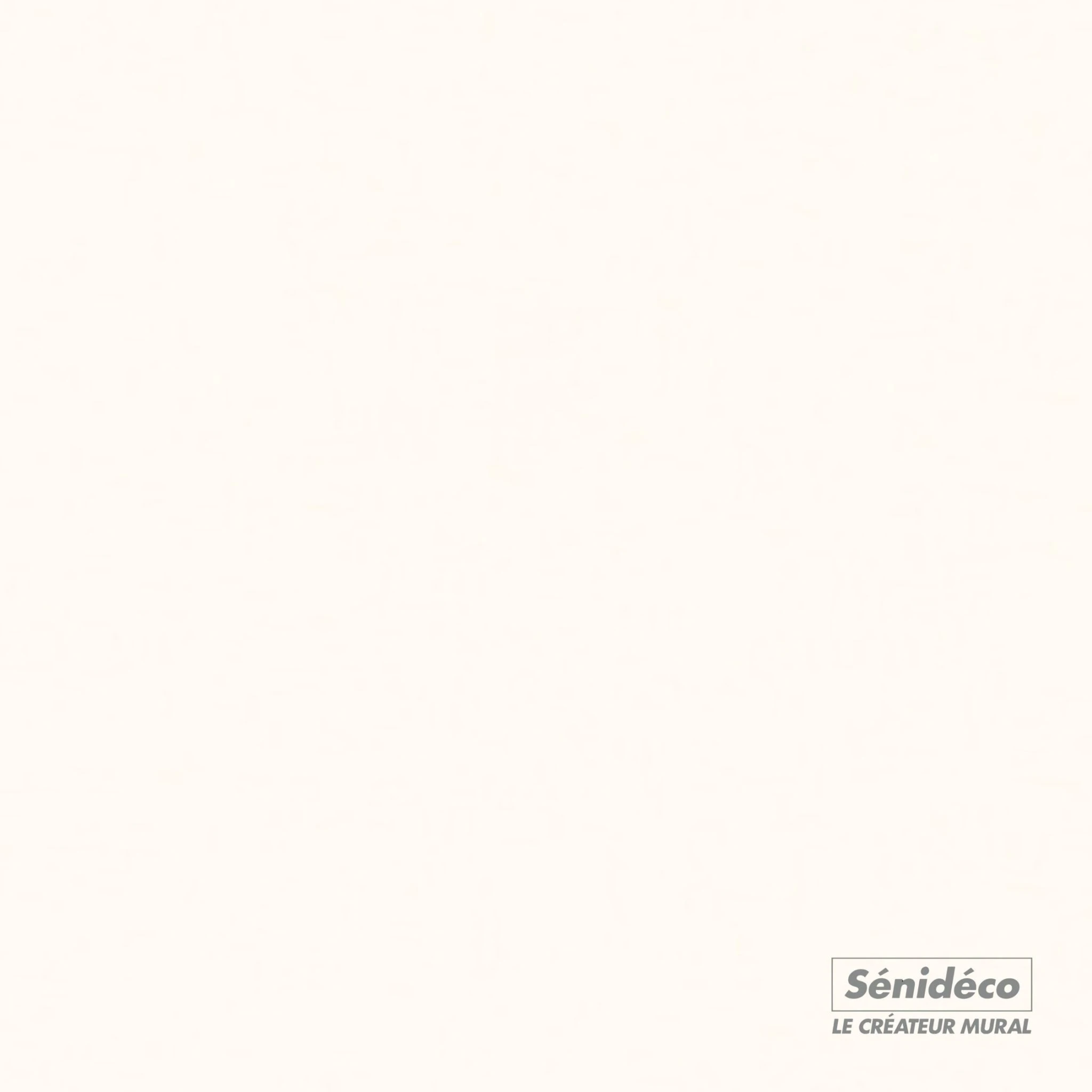 Seniedeco礦物藝術塗料-CASEINE蛋白-聖尼迪可